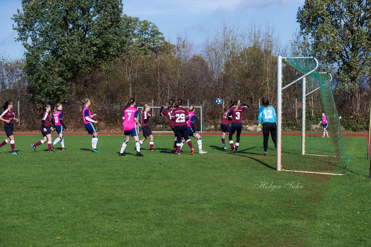 Bild 178 - B-Juniorinnen Halstenbek-Rellingen - Hamburger SV 2 : Ergebnis: 3:8